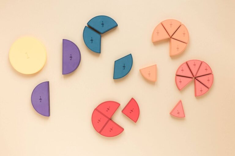Foam fraction manipulatives showing halves, thirds, quarters, fifths, and sevenths
